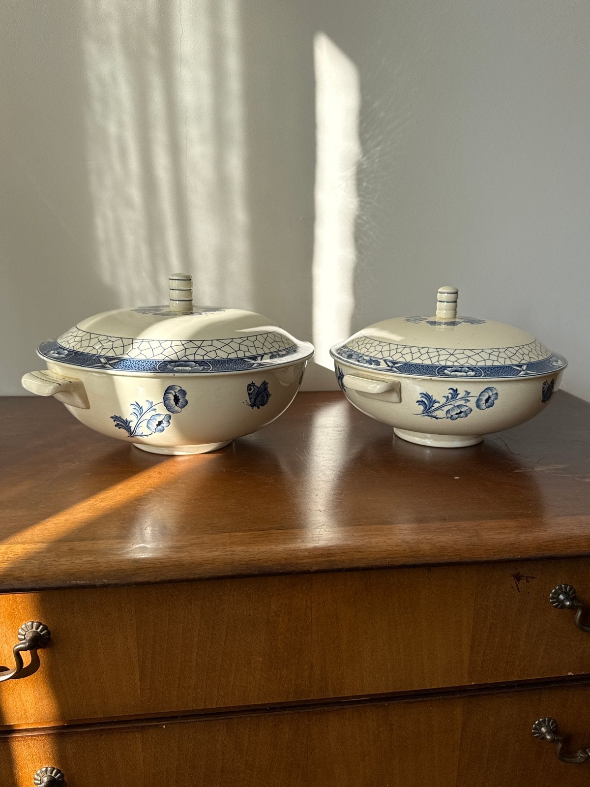 Set van 2 vintage dekschalen - Butterfly, Ophalen