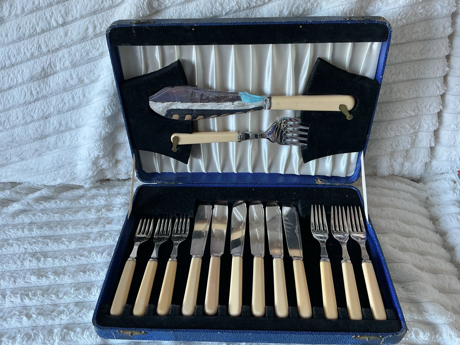 Vintage Bestekset in Koffer - 12-delig, Antiek en Kunst, Ophalen of Verzenden