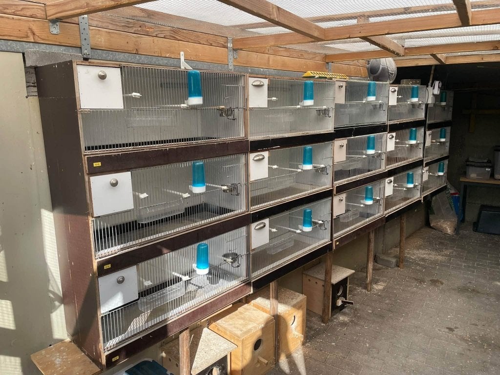 15 kweekkooien parkietachtige, Dieren en Toebehoren, Ophalen, Zo goed als nieuw, Hout, Broedkooi of Kweekkooi