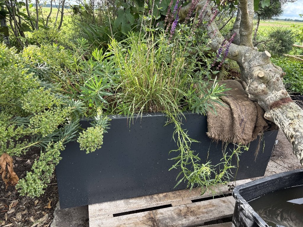 Stalen plantenbakken, Ophalen, 100 cm of meer, Zo goed als nieuw, Metaal