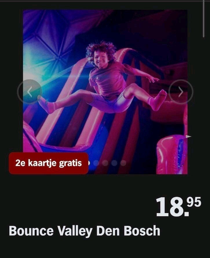 BOUNCE VALLEY DEN BOSCH ♡ 2e kaartje gratis (AH ACTIE), Overige soorten