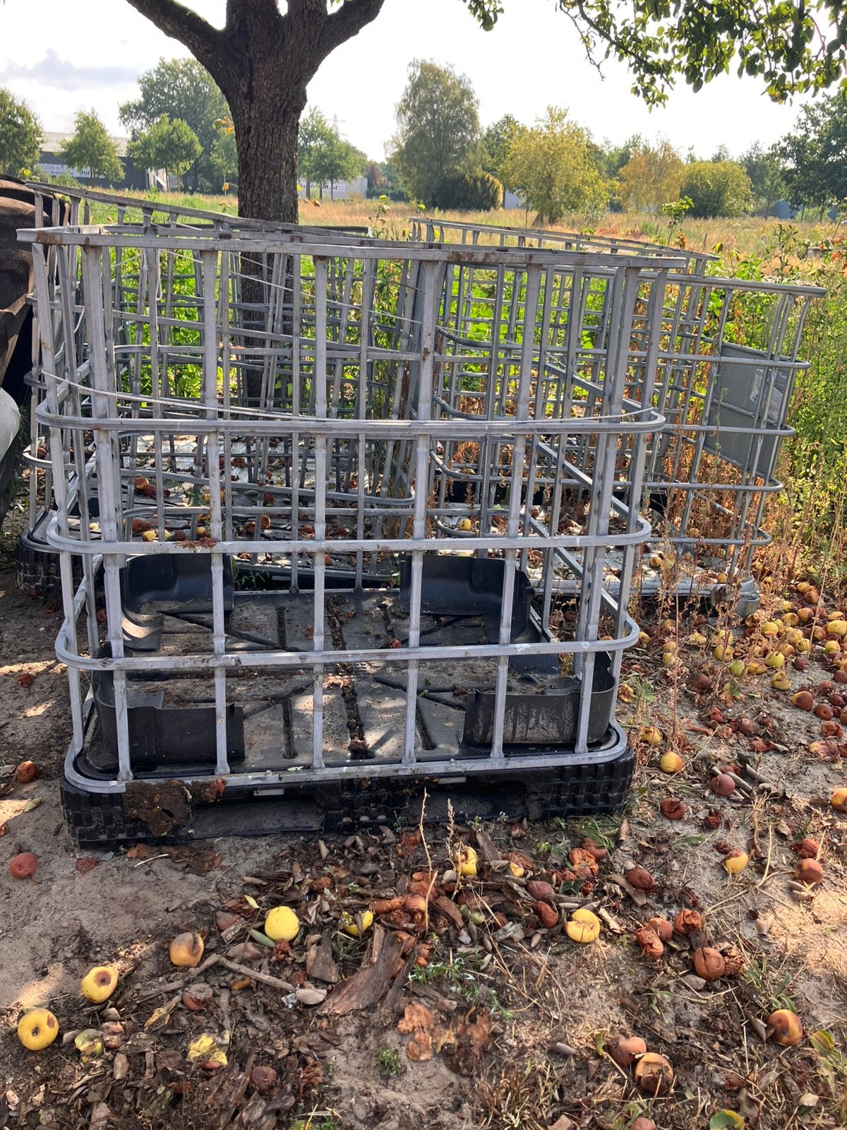 Ibc bakken, Ophalen, 100 cm of meer, 60 cm of meer, Zo goed als nieuw