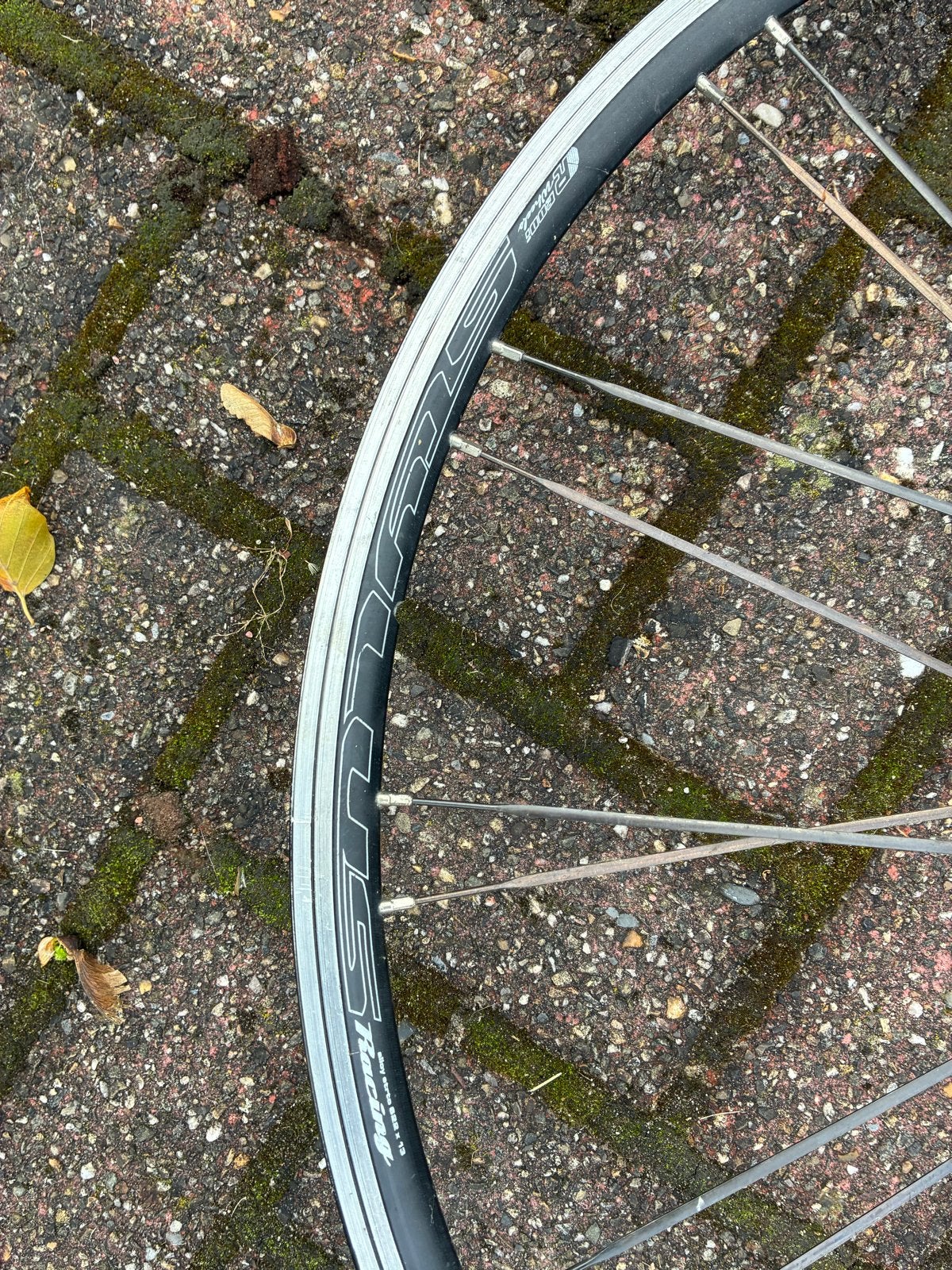 Achterwiel racefiets - Shimano Racing, Ophalen, Gebruikt, Racefiets, Wiel