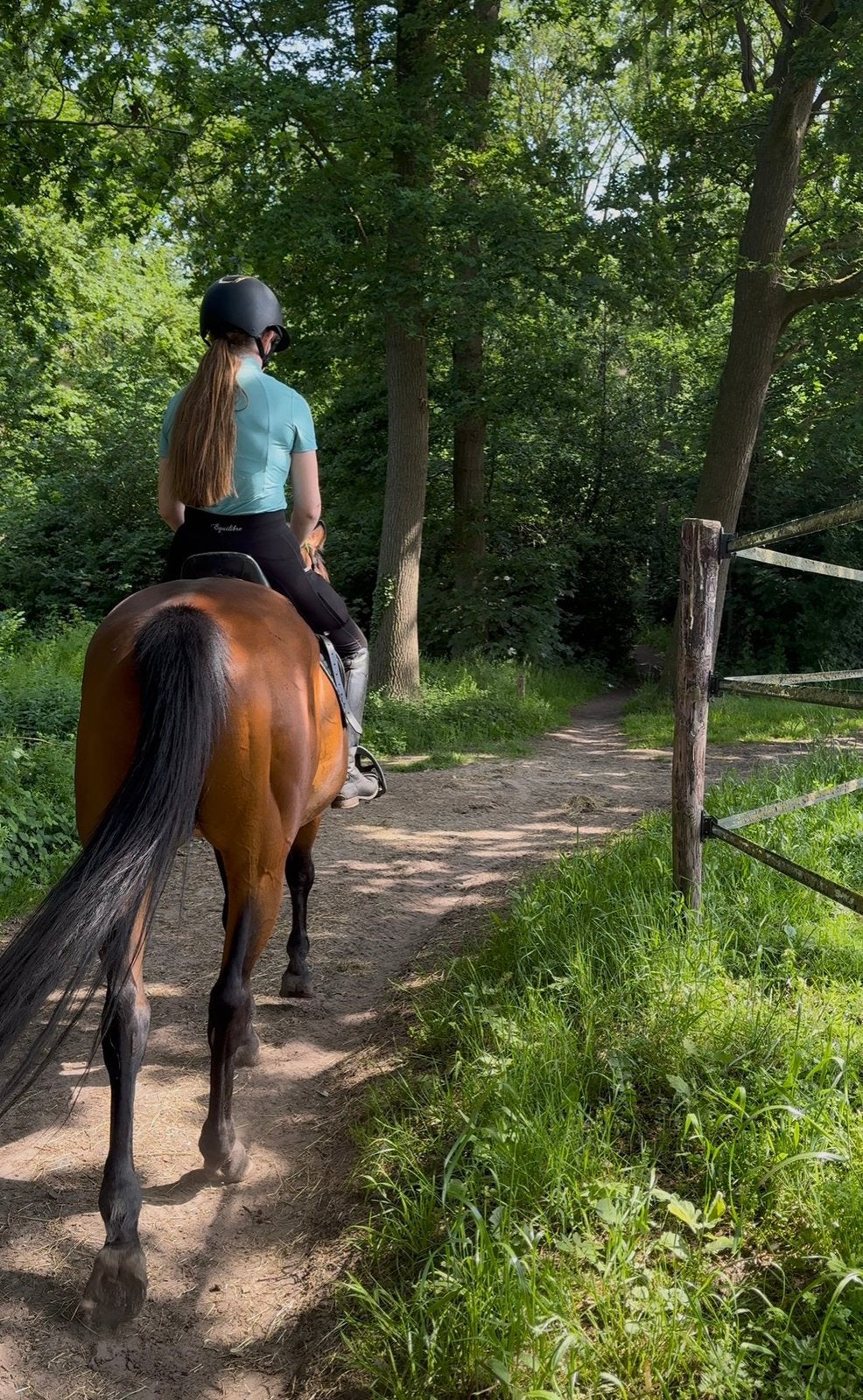 Leuk recreatief buitenritten paardje!, Dieren en Toebehoren, Ruin, 7 tot 10 jaar