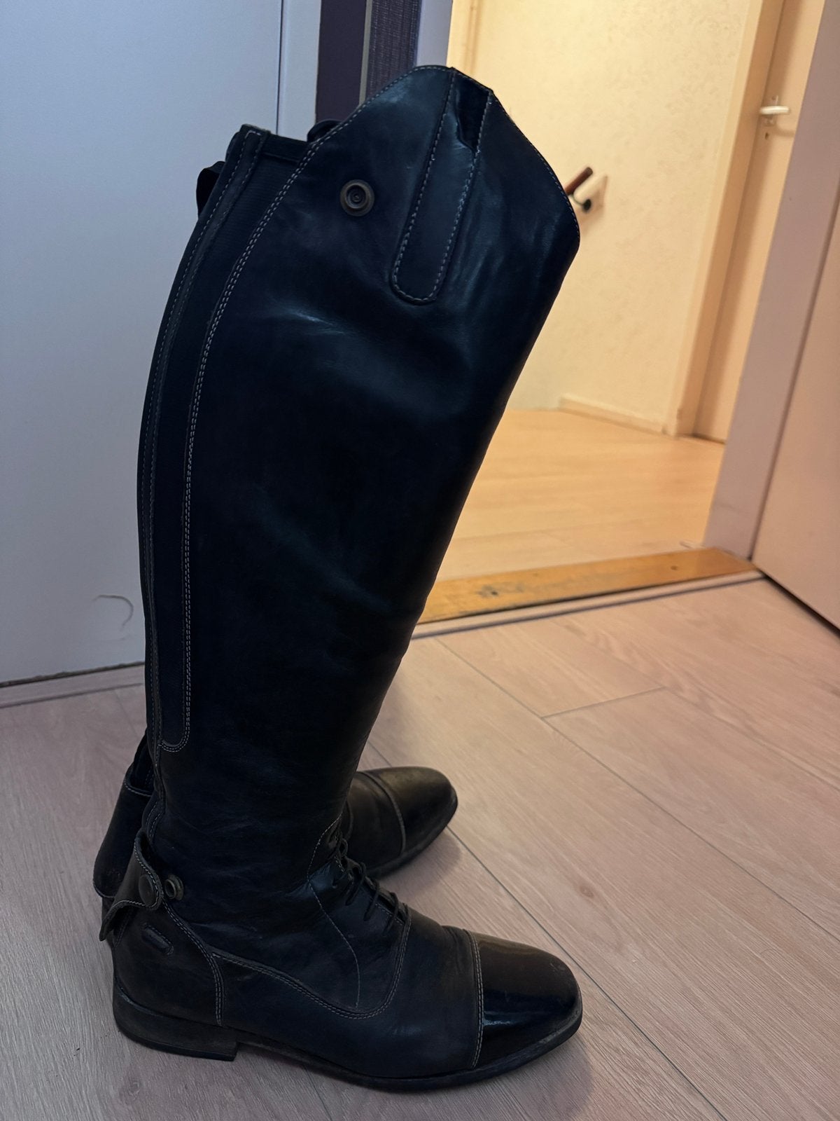 Dressuur laarzen epplejeck, Dieren en Toebehoren, Paardrijkleding, Ophalen, Dressuur, Zo goed als nieuw, Dames