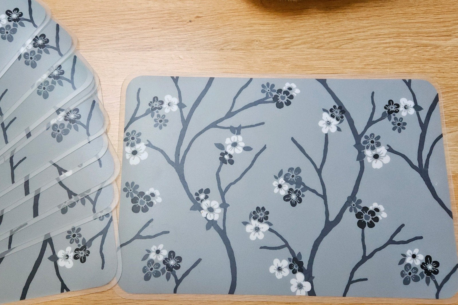 placemats 10x, Ophalen of Verzenden, Zo goed als nieuw