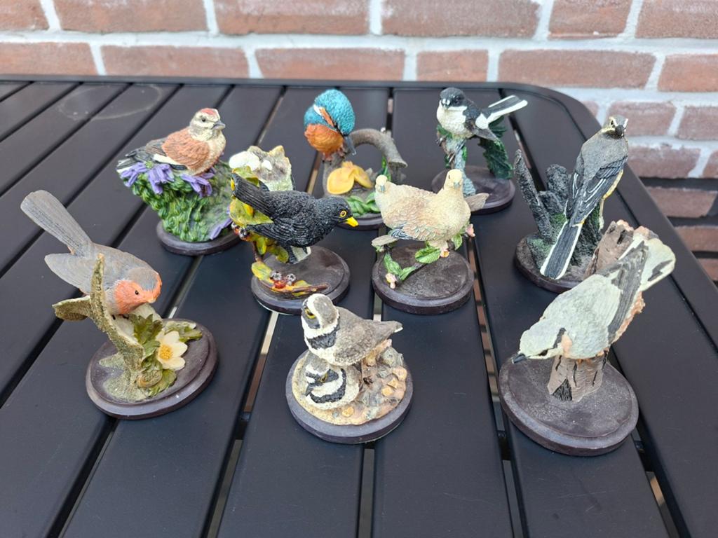 Verzameling van 10 gedetailleerde vogelbeeldjes, Ophalen of Verzenden