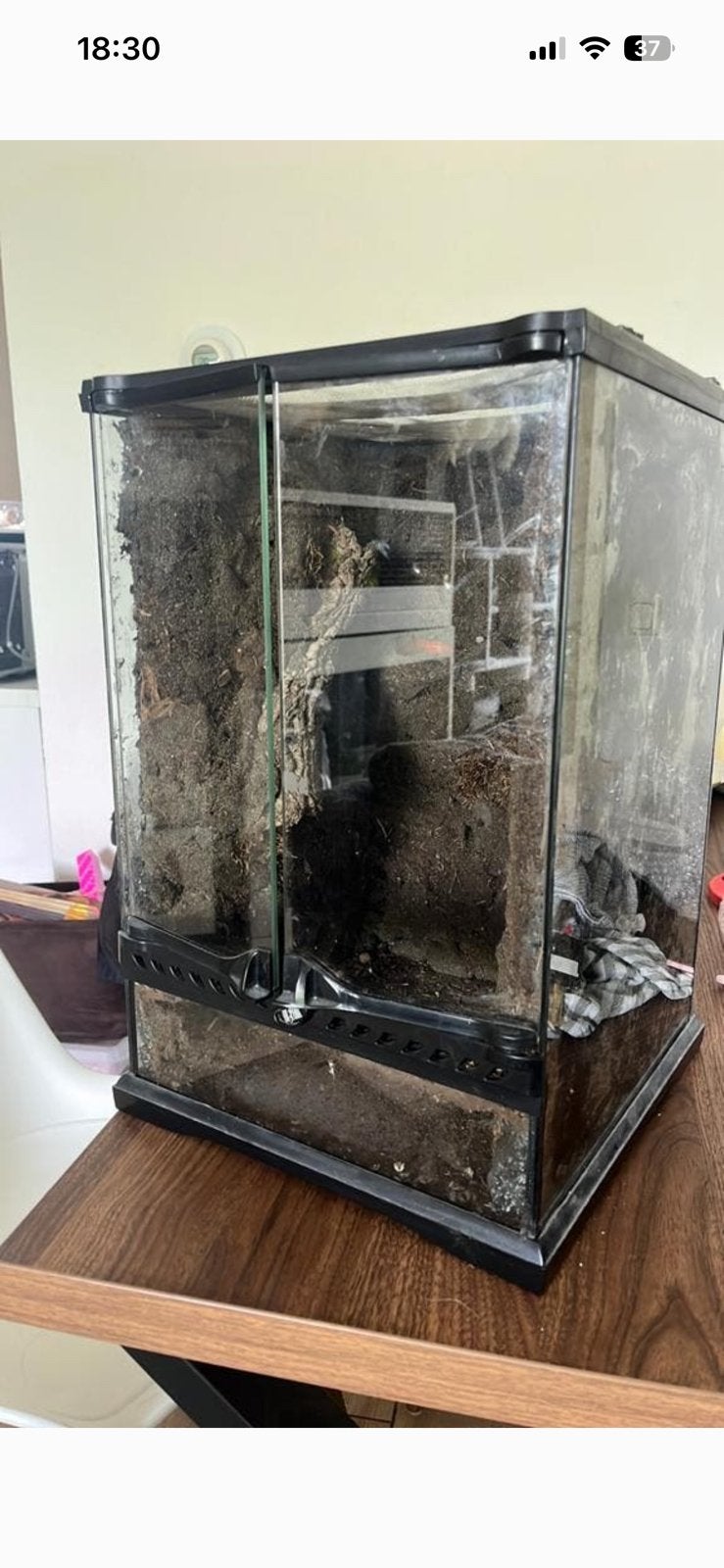 Exo Terra terrarium, Ophalen, Gebruikt