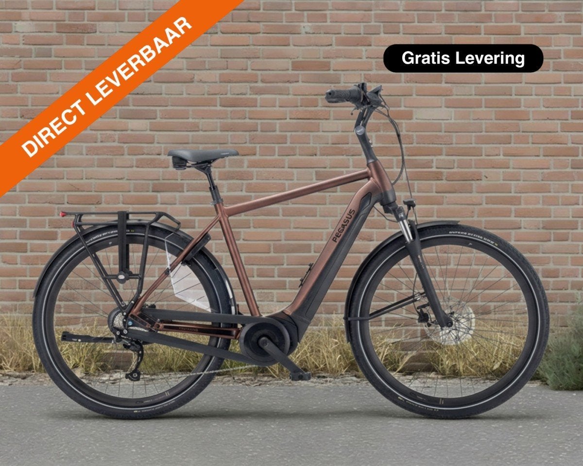 Pegasus Ravenna Evo 7F, 500 Wh Heren Adviesprijs: € 3799