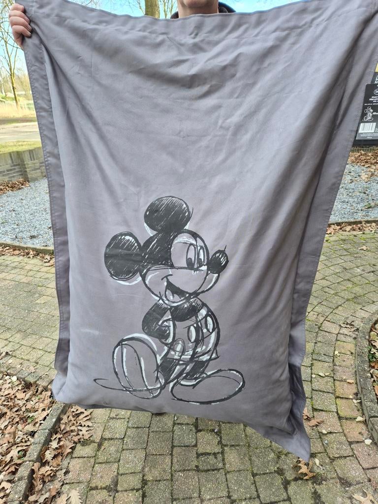 Nieuwe Disney Zitzak Mickey Mouse Grijs, Huis en Inrichting, Zitzakken, Ophalen, Nieuw, Grijs, Zitzak