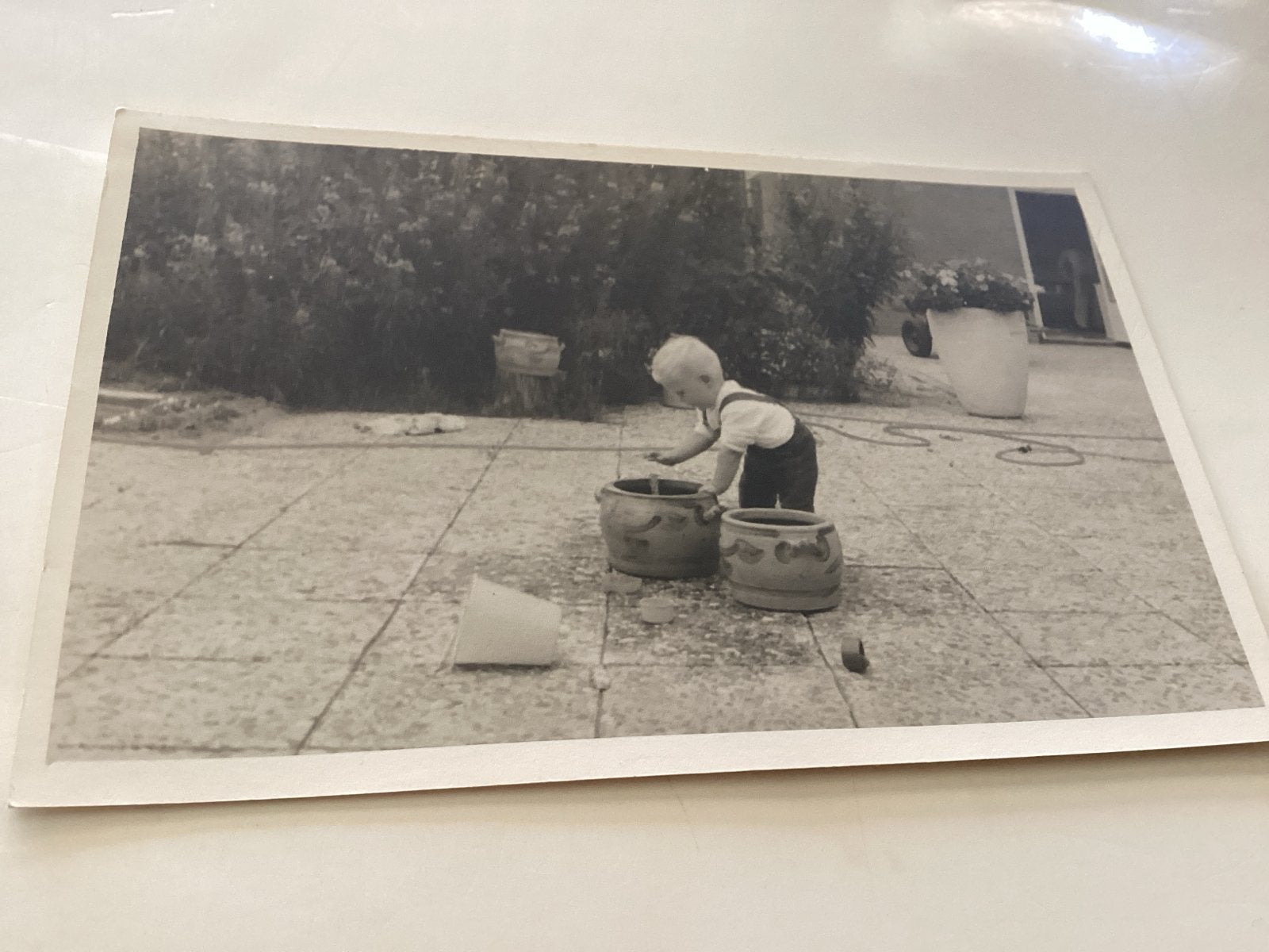 Jaap in de tuin juli 1963, 1960 tot 1980, Gebruikt, Foto, Ophalen of Verzenden