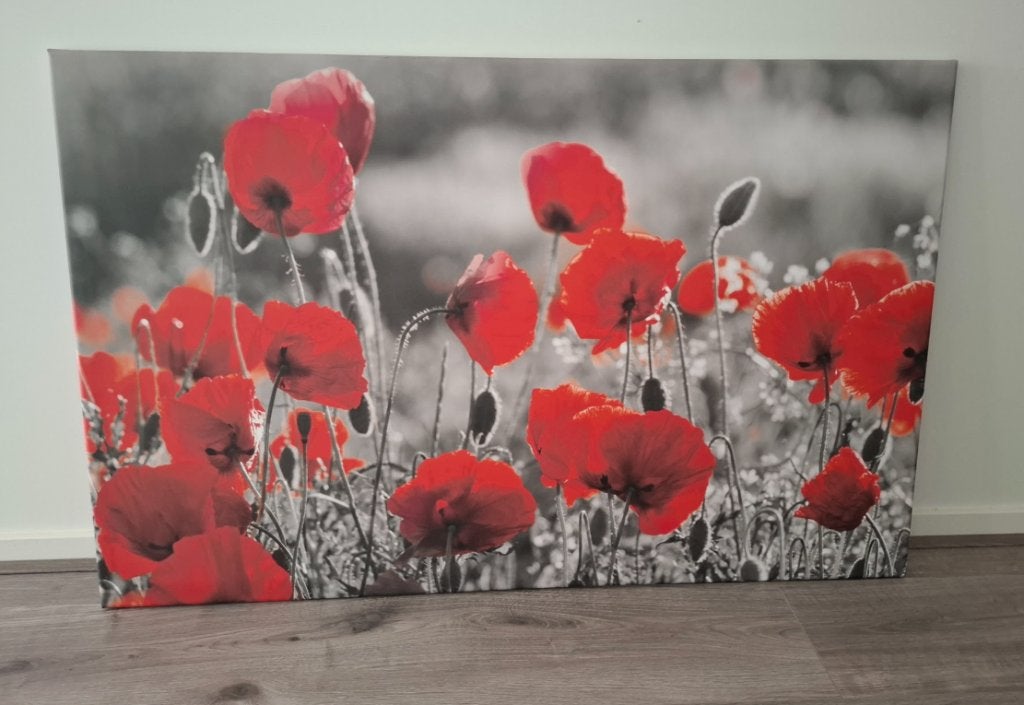 Canvas poster met rode klaprozen, Ophalen, 50 – 75, Zo goed als nieuw, 100 tot 125 cm