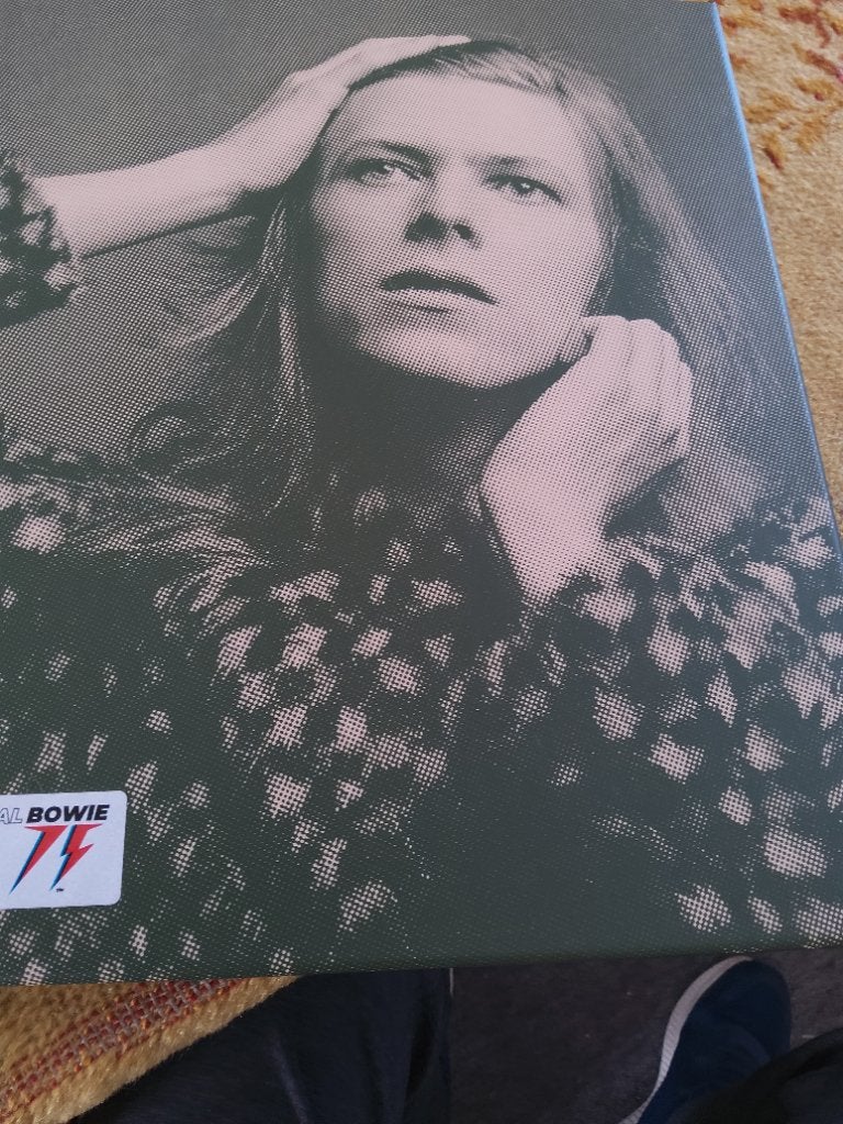 David bowie, Ophalen, Compilatie, Zo goed als nieuw, Inclusief boekje