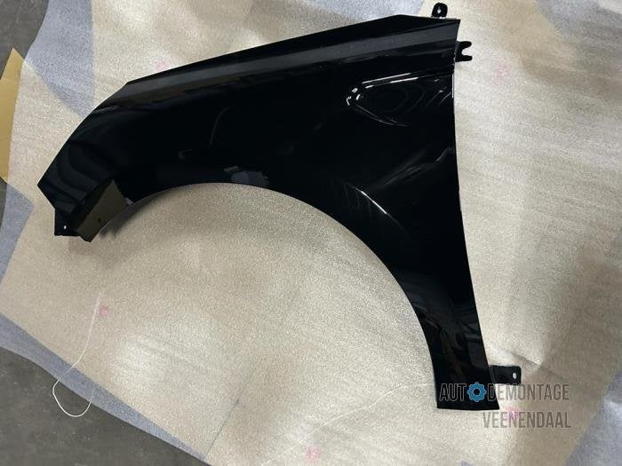 Scherm links-voor van een Renault Clio (TEGNE), -, Renault, -, Nieuw