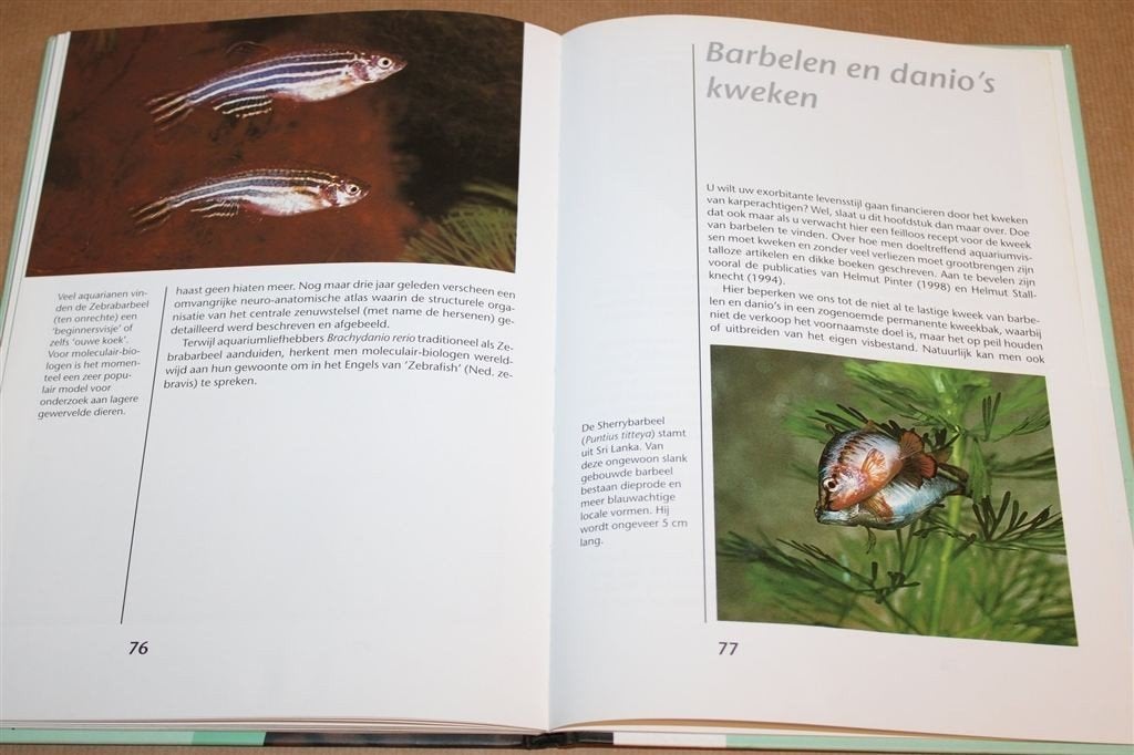 Barbelen en Danios — Verzorging en Kweek in het Aquarium, Ophalen of Verzenden, Gelezen