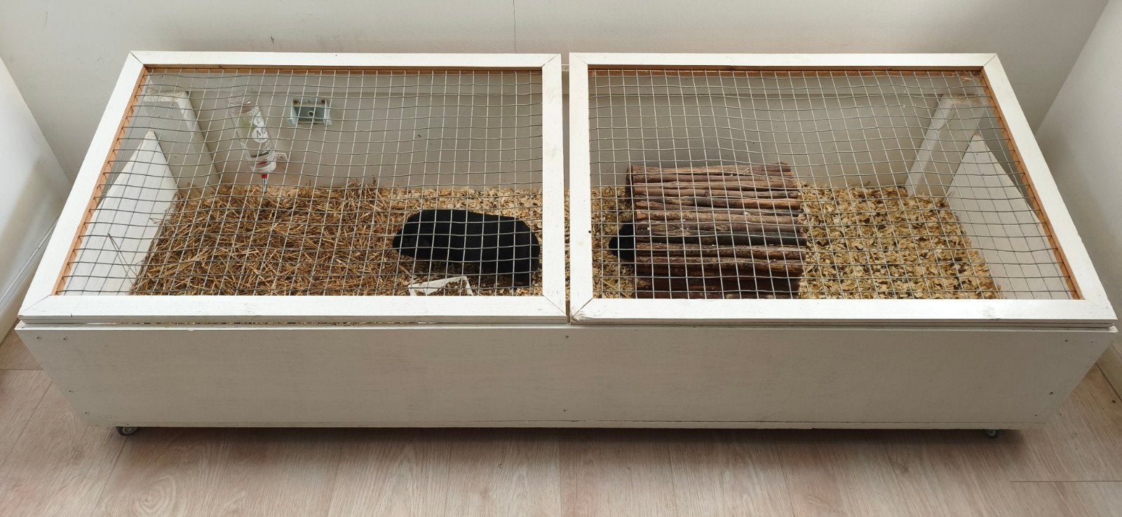 Ruim dierenverblijf cavia's met deksels, Dieren en Toebehoren, Ophalen, 110 cm of meer, Hok, Minder dan 60 cm