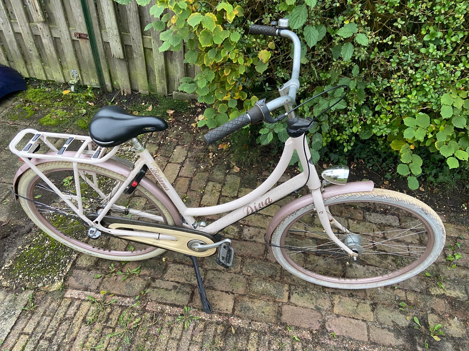 Batavus Diva omafiets, Ophalen, Terugtraprem, Versnellingen, Batavus
