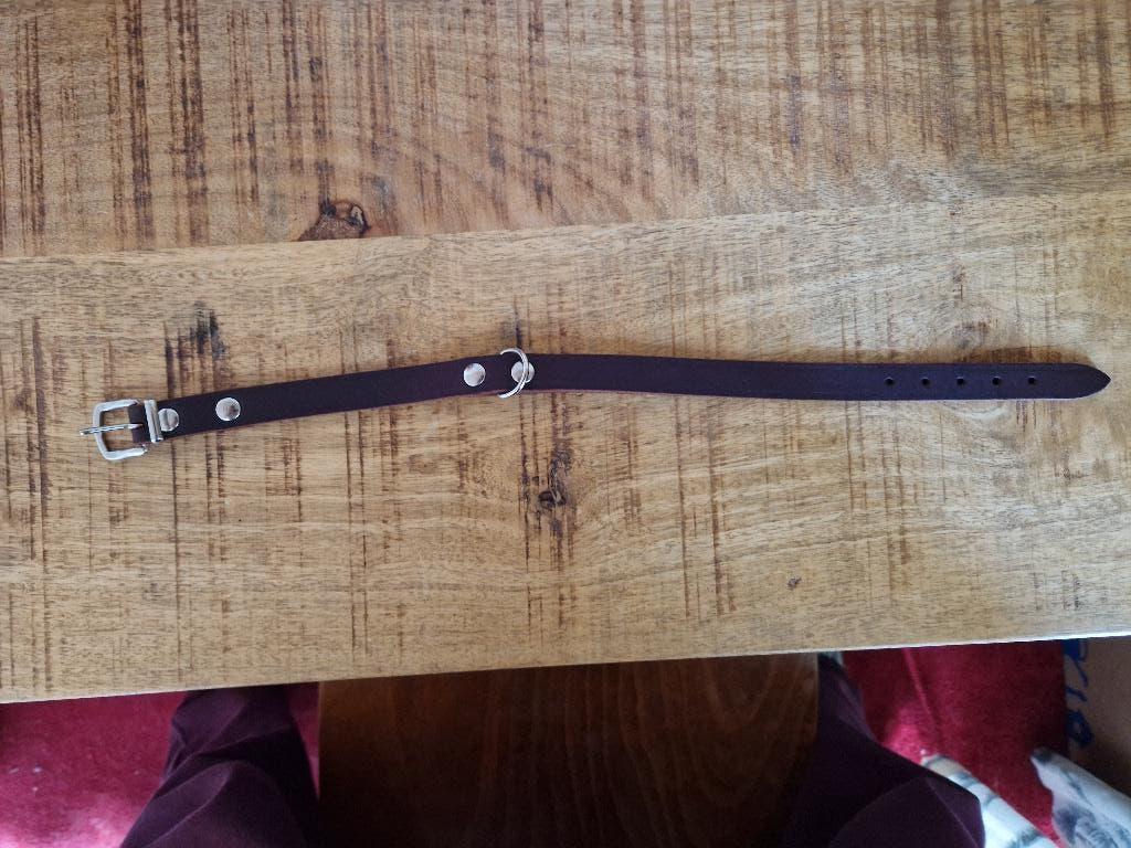 Bruine leren halsband, Verzenden, Verlicht, Nieuw