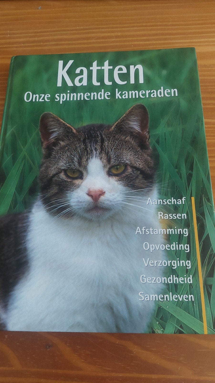 Katten: Onze spinnende kameraden - Boek over katten, Boeken, Dieren en Huisdieren, Ophalen of Verzenden, Zo goed als nieuw, Katten