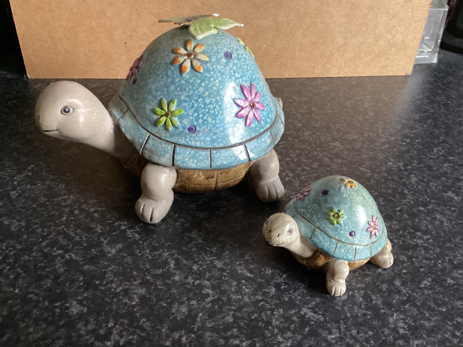 Schildpad, Ophalen of Verzenden, Zo goed als nieuw, Dier