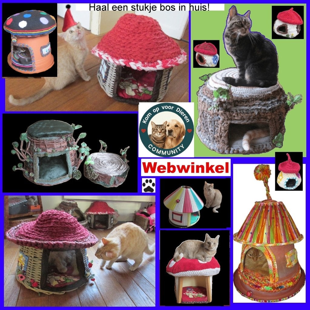 Katten accessoires te koop - je helpt er dieren in nood mee!, Ophalen of Verzenden, Nieuw