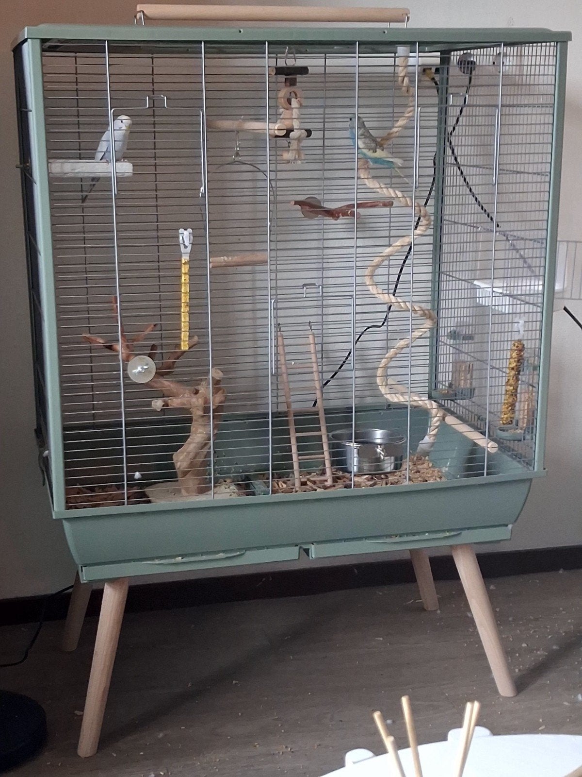 Nieuwe ruime vogelkooi met 2 jonge parkieten, Ophalen, Metaal, Vogelkooi
