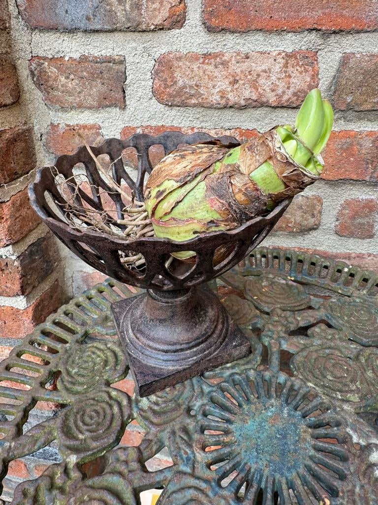 Gietijzeren bokaaltje-tuinvaas-plantenbak-fruitschaaltje, Antiek en Kunst, Curiosa en Brocante, Ophalen of Verzenden