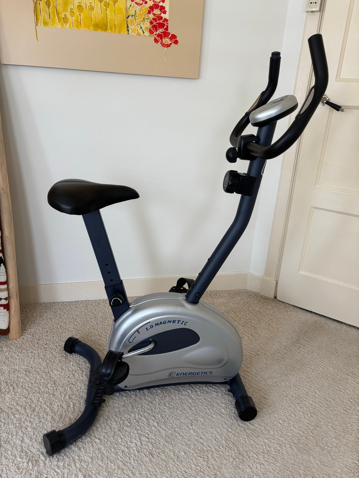 Energetics CT 1.0 Magnetic Hometrainer, Ophalen, Zo goed als nieuw, Metaal, Benen