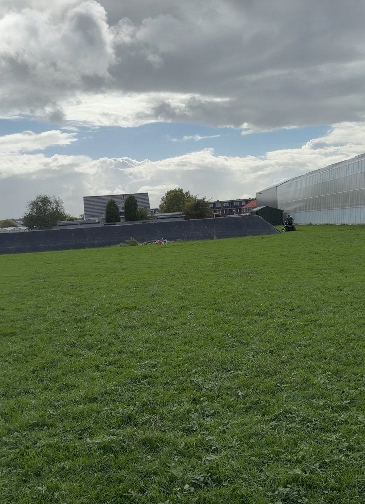Uitloop stal met weidegang aangeboden, Weidegang