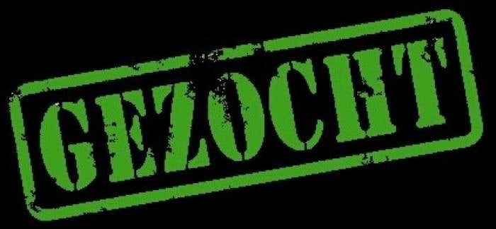 GEZOCHT: Opslagruimte/loods met overheaddeur in Beilen, Ophalen of Verzenden