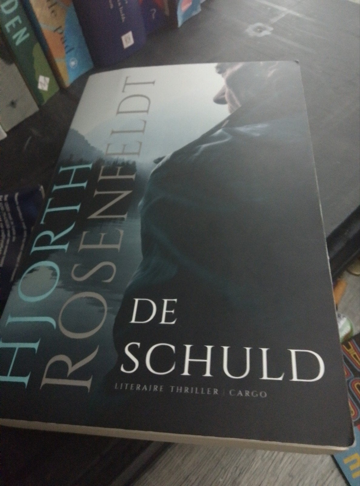 De Schuld - Hjorth Rosenfeldt (Literaire thriller), Boeken, Thrillers, Zo goed als nieuw, Scandinavië, Ophalen of Verzenden