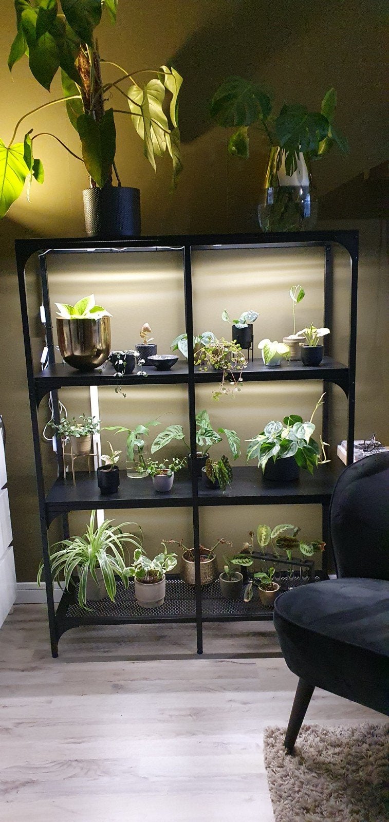 IKEA FJÄLLBO Stellingkast zwart 100 x 136 x 36 cm planten, Ophalen, Gebruikt