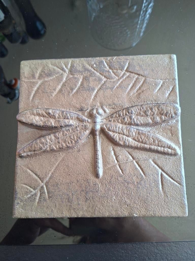 Gietijzeren Plakkaat Libelle - Wanddecoratie Binnen/Buiten, Metaal, Decoratieobject, Ophalen of Verzenden, Zo goed als nieuw