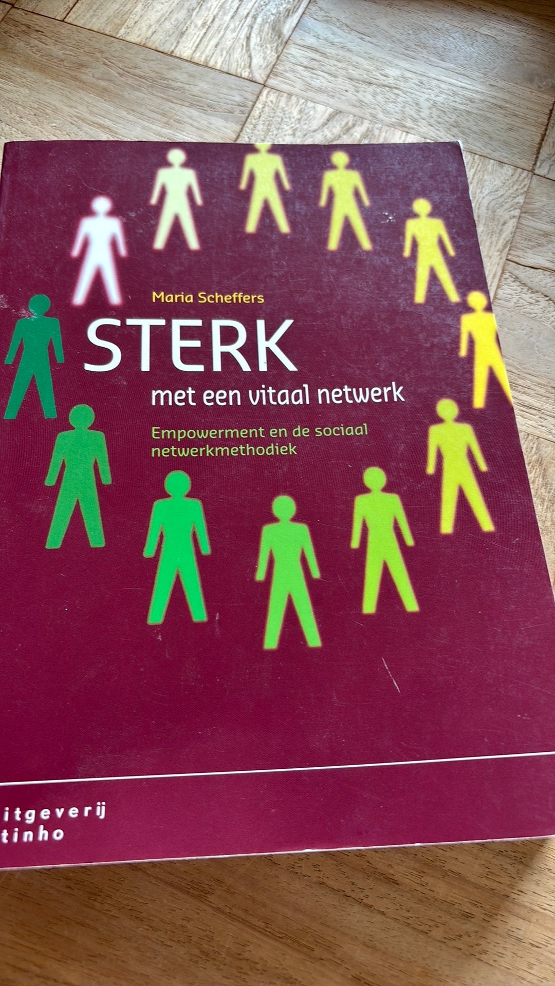 Maria Scheffers - Sterk met een vitaal netwerk, Sociale wetenschap, Ophalen of Verzenden, Maria Scheffers, Zo goed als nieuw
