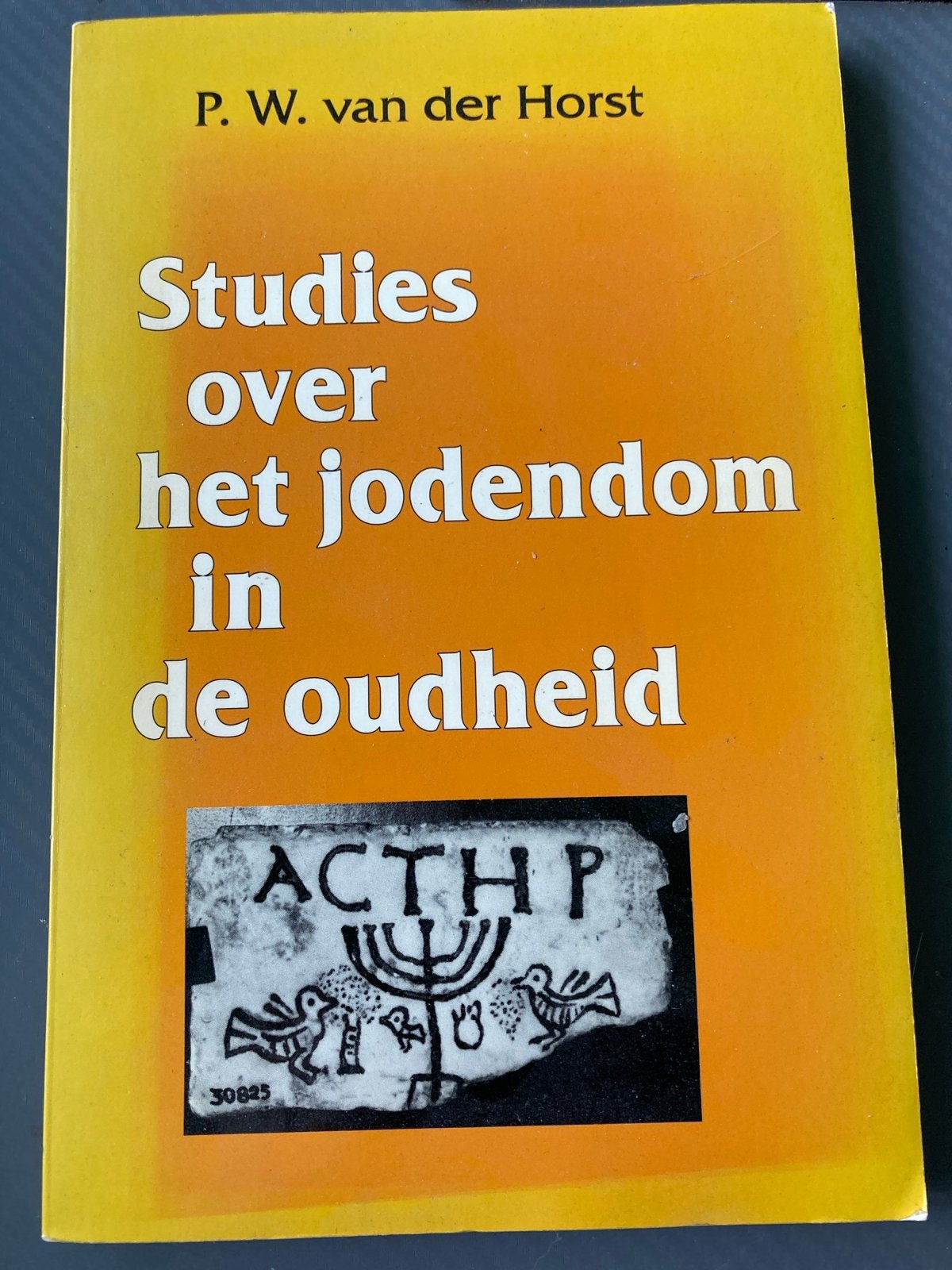 Studies over het jodendom in de oudheid - P.W. van der Horst, Verzamelen, Ophalen of Verzenden, Gebruikt, Boek, Jodendom