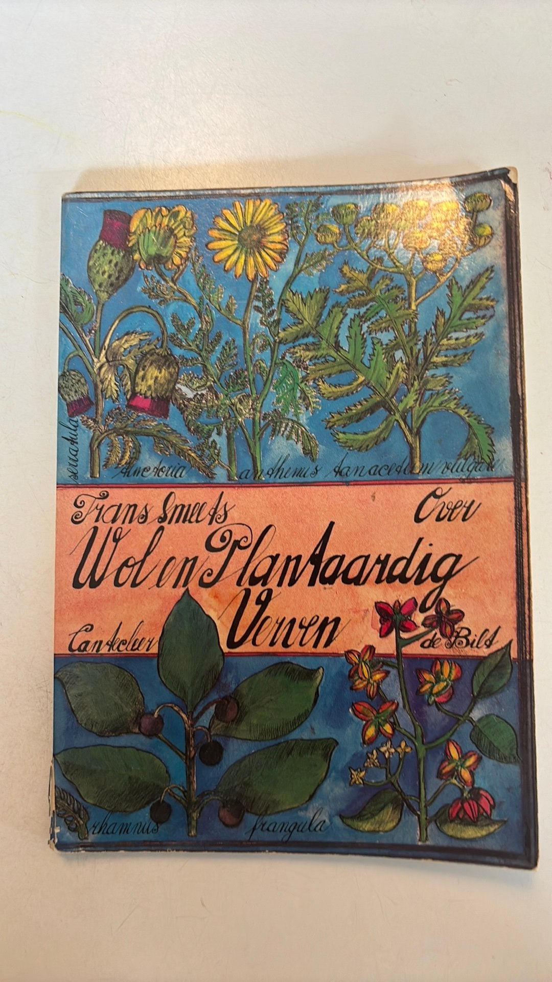 Wol en plantaardig verven - Frans Smeets, Ophalen of Verzenden, Gelezen