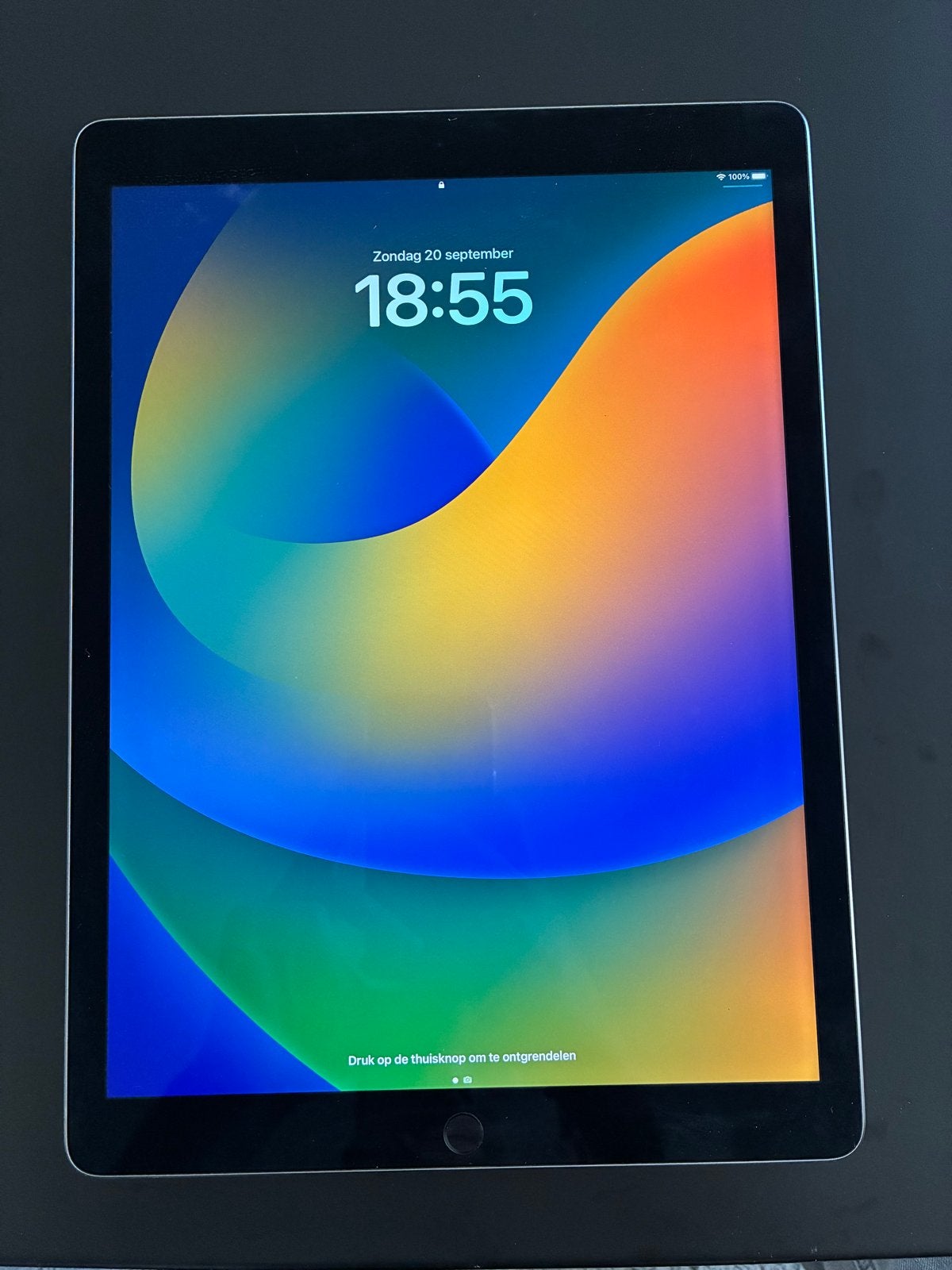 iPad Pro 12,9 inch 128GB, Computers en Software, Ophalen, Apple iPad Pro, 128 GB, Gebruikt