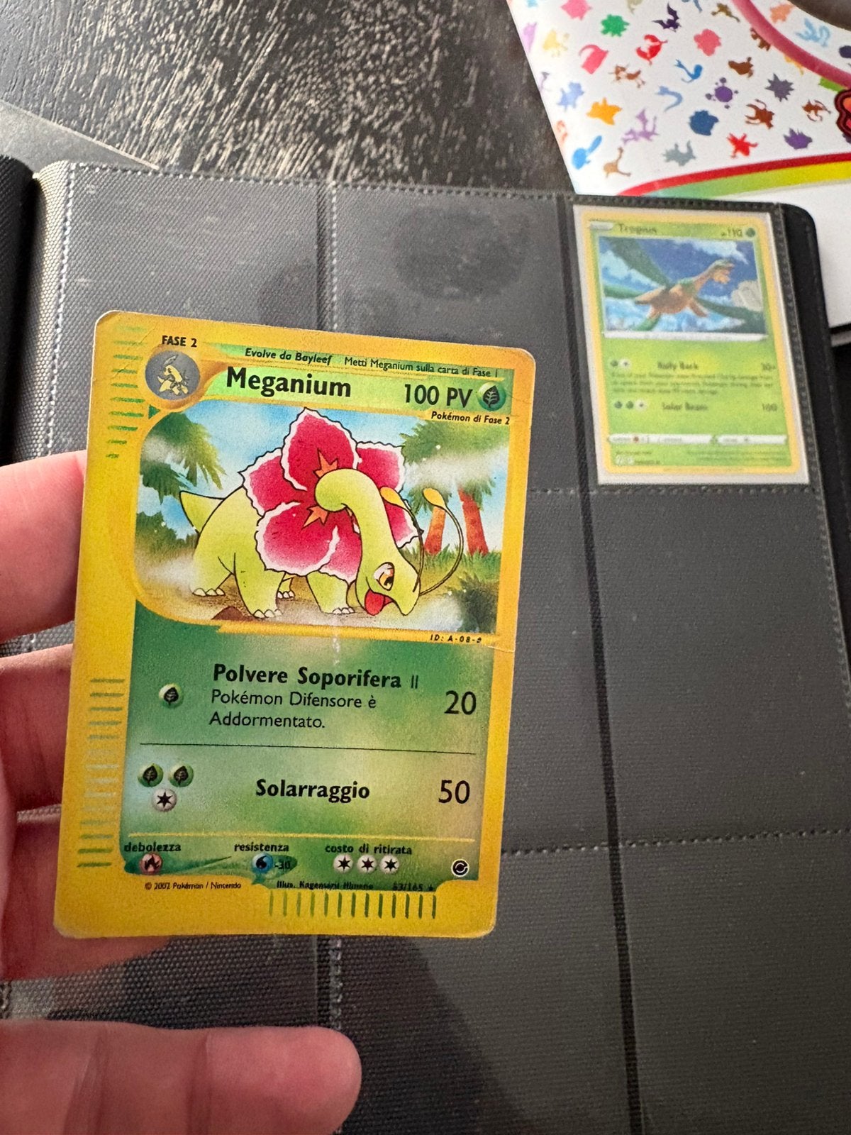Meganium reverse holo expedition, Hobby en Vrije tijd, Verzamelkaartspellen | Pokémon, Ophalen of Verzenden, Zo goed als nieuw
