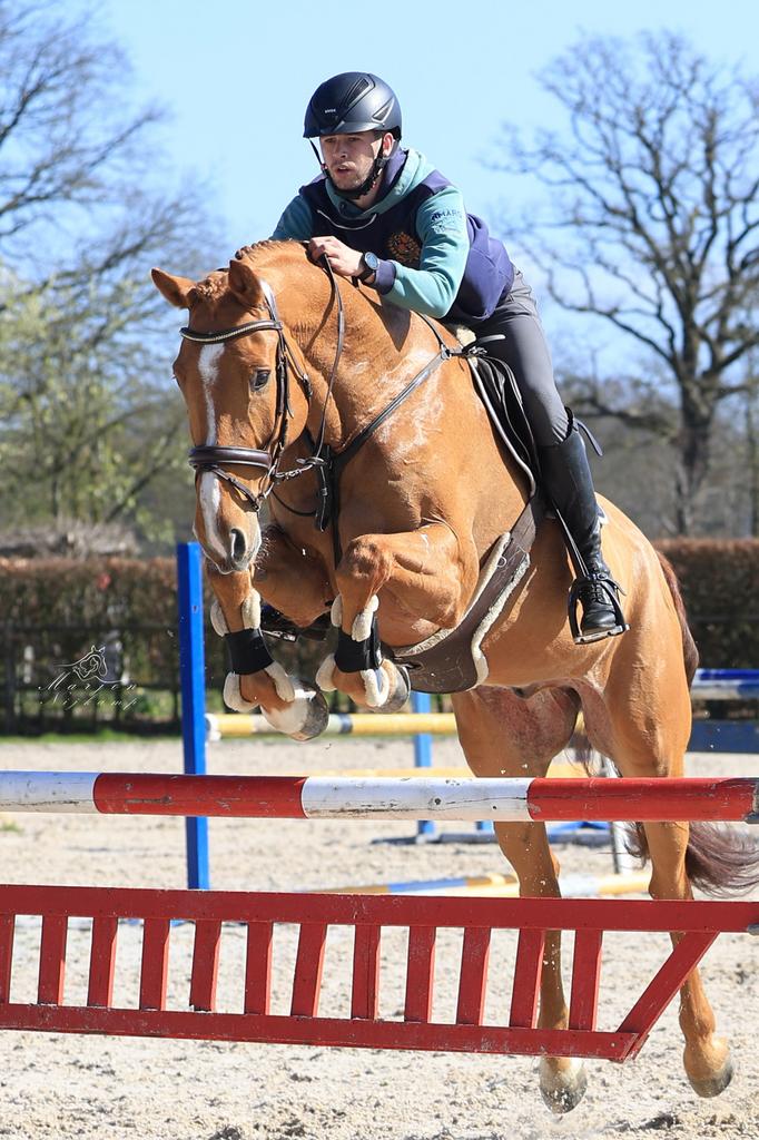 Lieve 9 jarige ruin vriendelijke reus, Dieren en Toebehoren, Paarden, Springpaard, Ruin, 170 tot 175 cm, L