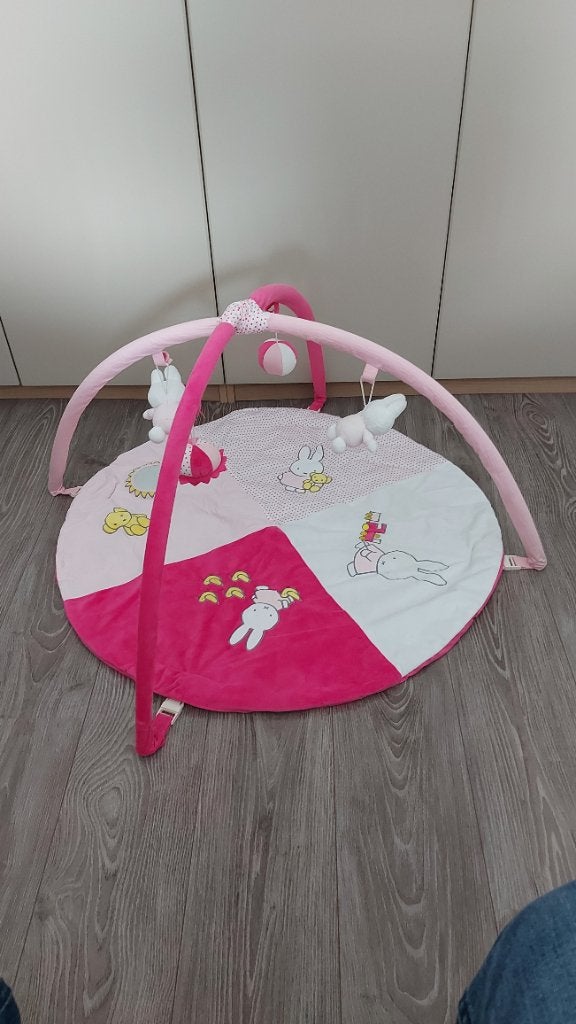 Speelboog Nijntje, Kinderen en Baby's, Speelgoed | Babyspeelgoed, Ophalen, Zo goed als nieuw, Babygym