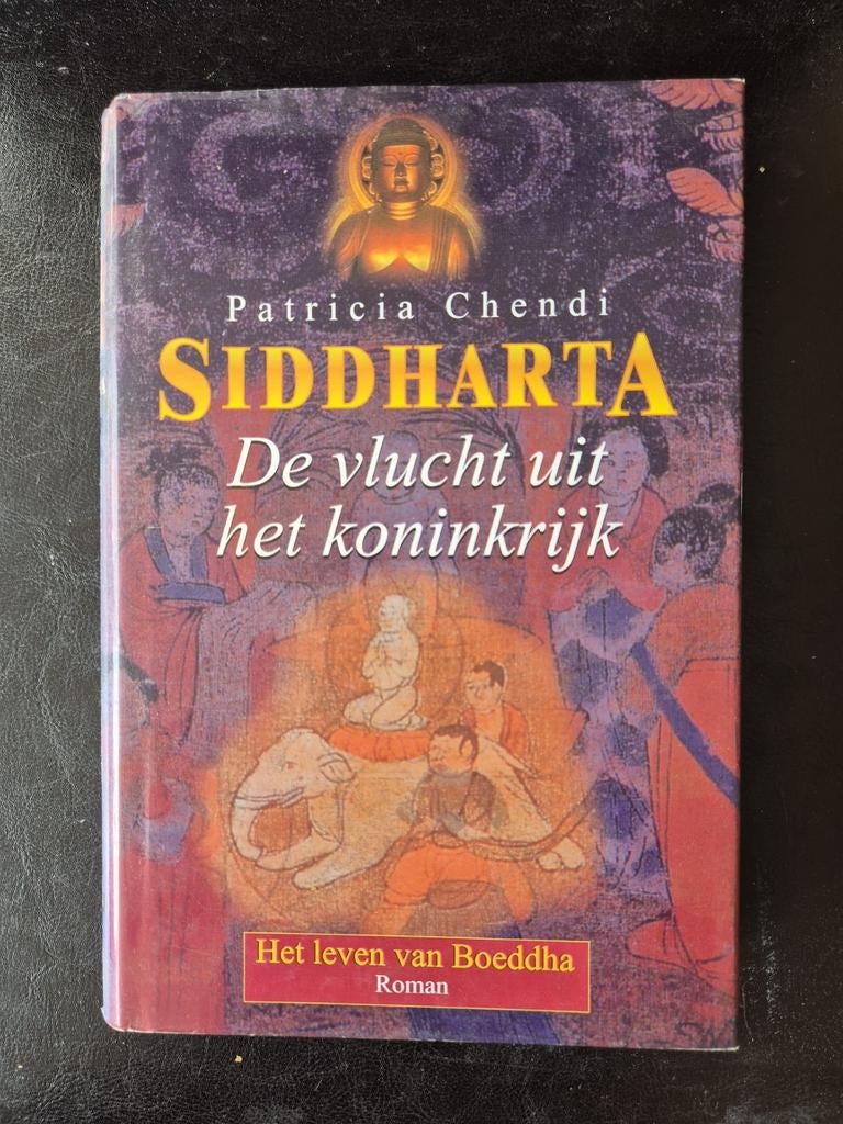 Siddharta: De vlucht uit het koninkrijk - Patricia Chendi, Ophalen of Verzenden, Gelezen, Patricia Chendi