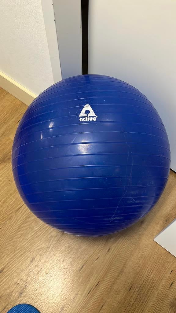 6 x balans bal, Ophalen of Verzenden, Gebruikt