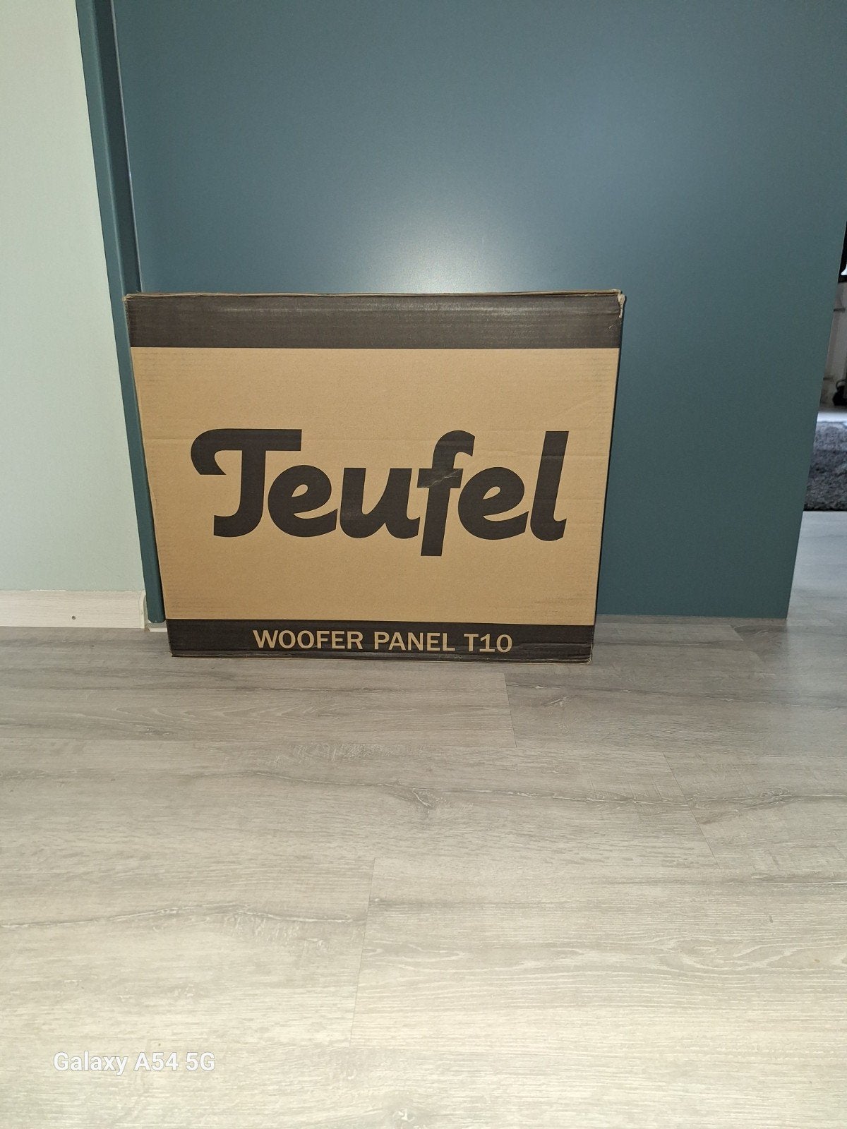Teufel Woofer Panel T10 - Nieuw in doos, Audio, Tv en Foto, Luidsprekers, Ophalen of Verzenden, Nieuw, Subwoofer, Overige merken