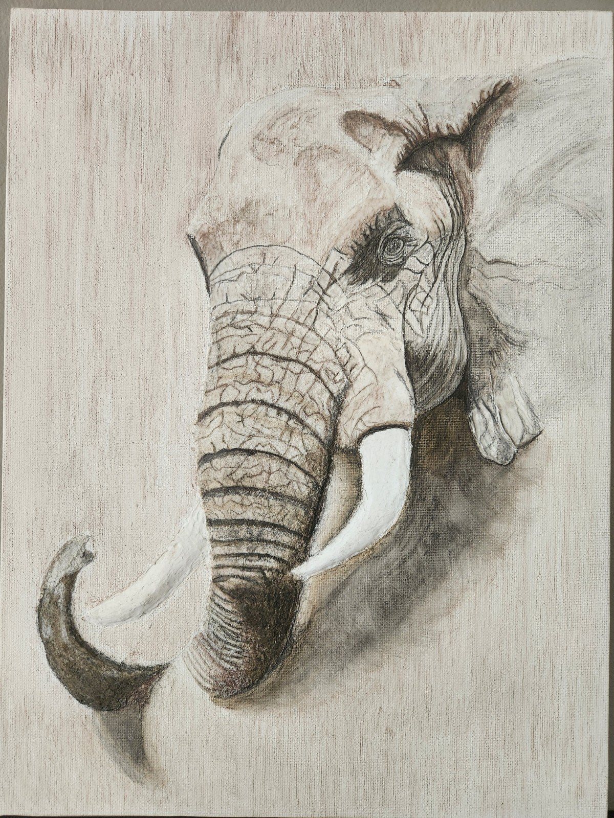 3D kunstwerk olifant 30 x 40cm, Antiek en Kunst, Kunst | Tekeningen en Foto's, Ophalen of Verzenden, Gemengde techniek, Handgemaakt