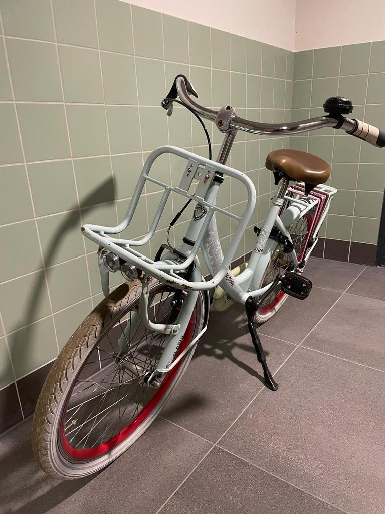 Alpina fiets met voordrager - 22 inch meisjesfiets, Fietsen en Brommers, Fietsen | Dames | Damesfietsen, Terugtraprem, (Extra) lage instap