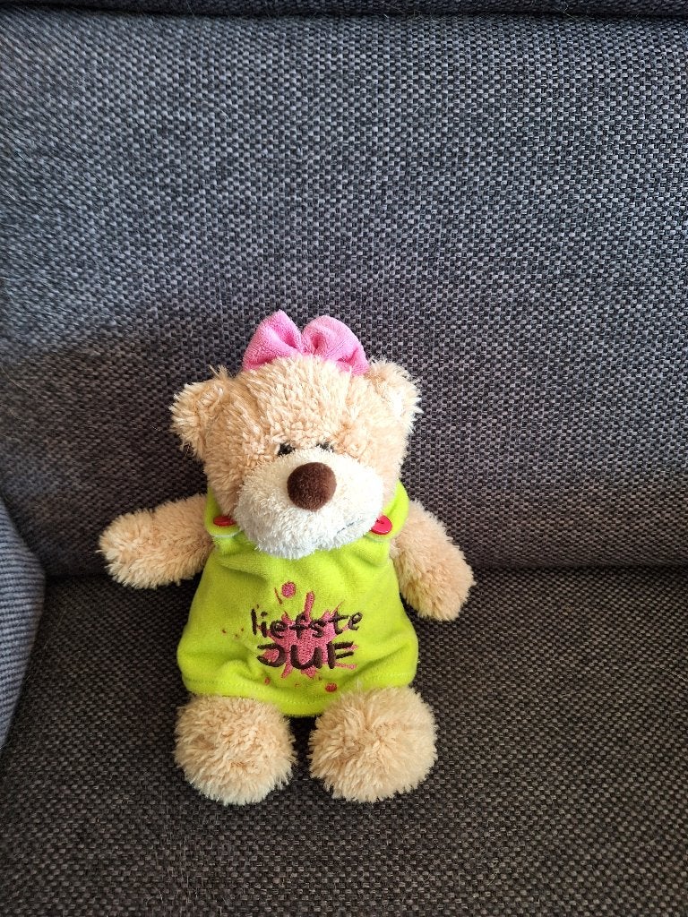 Liefste Juf knuffelbeer met jurkje, Ophalen of Verzenden, Zo goed als nieuw, Overige typen, Overige