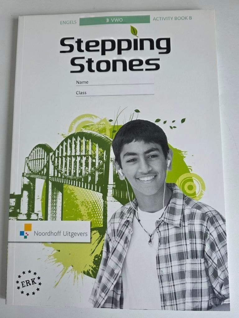 Stepping Stones Engels 3 VWO Activity Book B, Boeken, VWO, Engels, Ophalen of Verzenden, Zo goed als nieuw