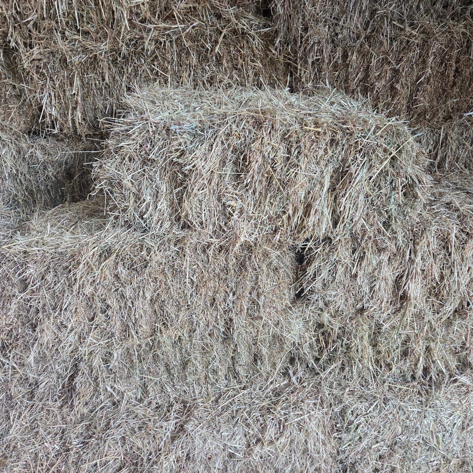 Hooi balen te koop - Ideaal voor vee en paarden, Dieren en Toebehoren, Ophalen