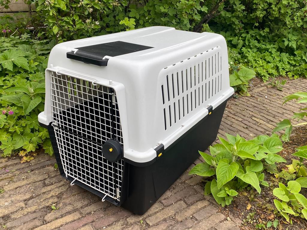 Ferplast Atlas 60 Professional transportbox hond, Dieren en Toebehoren, Transportboxen, Ophalen, Zo goed als nieuw