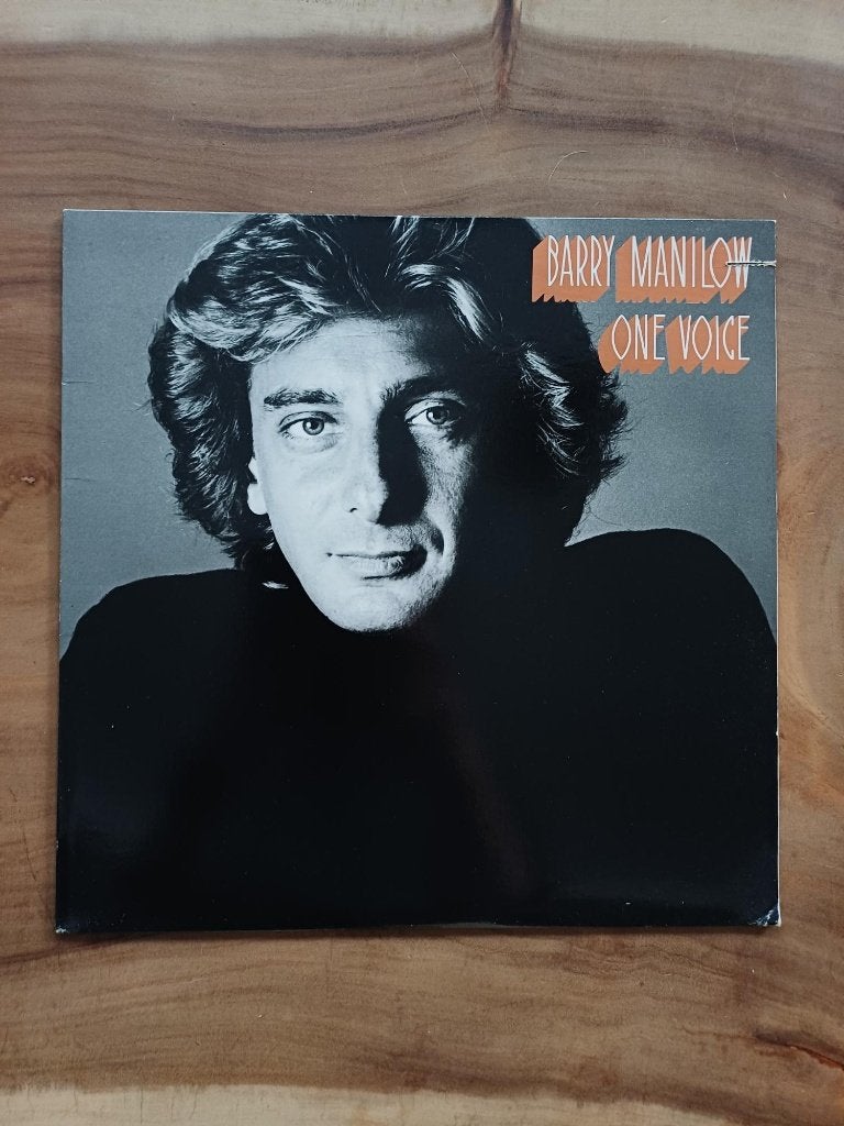 Barry Manilow - One Voice - Vinyl, Ophalen of Verzenden, Gebruikt, 12 inch